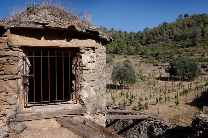 La red Fire Wine ya certifica bodegas en España, Francia, Portugal e Italia con el aval de la EUIPO desde julio de 2025. La red Fire Wine ya certifica bodegas en España, Francia, Portugal e Italia con el aval de la EUIPO desde julio de 2025.