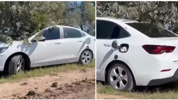 crimen san antonio de areco