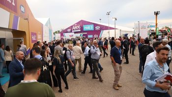 La banda delictiva que fue atrapada aprovechó el gran movimiento de personas que se está dando por la Expo AOG Patagonia 2024.