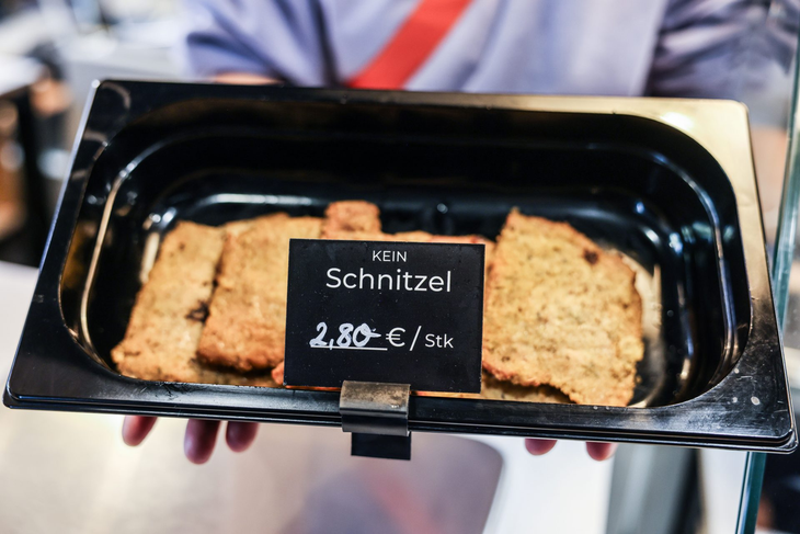 Líder europeo en sustitutos: Alemania es el mayor mercado de productos alternativos a la carne, con una producción que se ha duplicado desde 2019, impulsando la sostenibilidad. Líder europeo en sustitutos: Alemania es el mayor mercado de productos alternativos a la carne, con una producción que se ha duplicado desde 2019, impulsando la sostenibilidad.