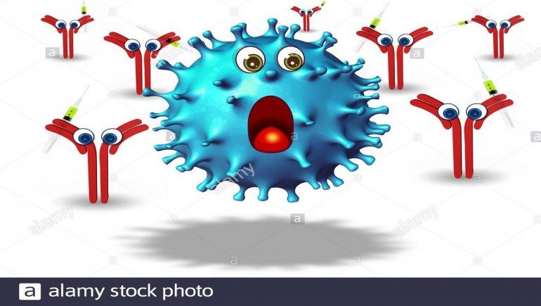 A nivel mundial intensifican los estudios sobre la generación de anticuerpos contra el Coronavirus.