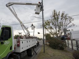 La cooperativa acompaña el avance del proyecto sobre Avenida Mosconi.