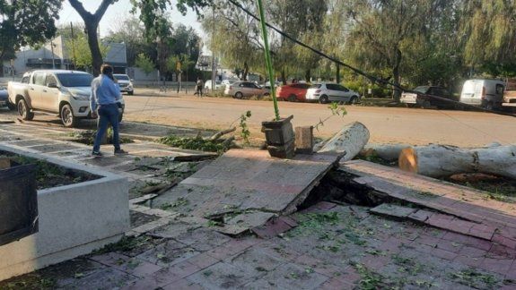 Temporal en Mendoza: un muerto y cuantiosos daños en cultivos