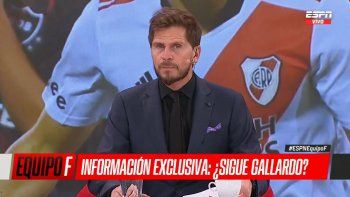 vignolo revelo las razones por las que gallardo podria irse de river vignolo revelo las razones por las que gallardo podria irse de river