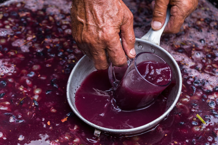 Las exportaciones de mostos crecieron 30,9% en el primer trimestre, impulsando el valor total exportado. Las exportaciones de mostos crecieron 30,9% en el primer trimestre, impulsando el valor total exportado.