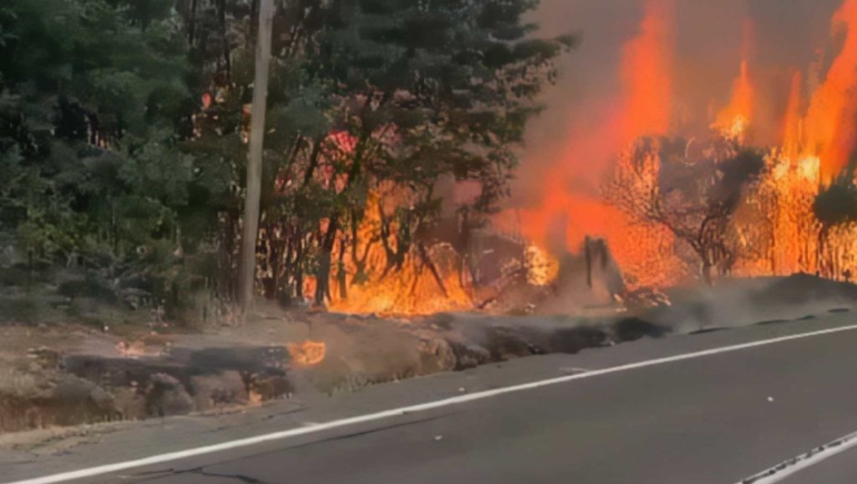 Se está privilegiando el trabajo de los Bomberos en la zona