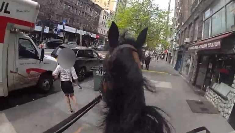 Según la Policía de Nueva York