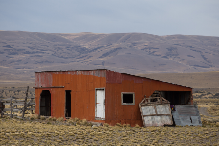 "La realidad es que la rentabilidad de la producción va disminuyendo por estas pérdidas, aumentan los campos abandonados y sirven como sumidero para estos carnívoros", dijo Gil. "La realidad es que la rentabilidad de la producción va disminuyendo por estas pérdidas, aumentan los campos abandonados y sirven como sumidero para estos carnívoros", dijo Gil.