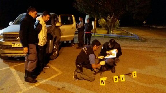 Cuatro detenidos tras entrar a una estancia y matar a varios ciervos 