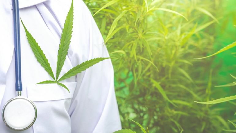 El Reprocann sufrirá una fuerte modificación por parte del Gobierno.