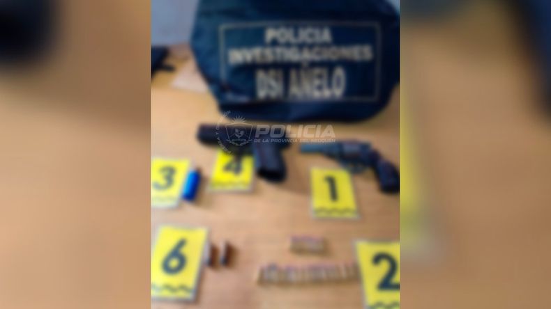 La Policía realizó cuatro operativos en San Patricio del Chañar. | LM Neuquen La Policía realizó cuatro operativos en San Patricio del Chañar.