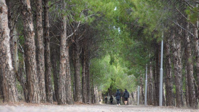 Robaron 30 luminarias y 265 metros de cables en Parque Norte