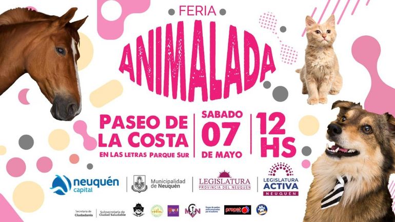 El sábado se realizará la Feria Animalada y se aplicarán 1.500 vacunas antirrábicas