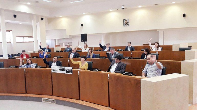 Pechi vetó las ordenanzas que bajaban la tarifa de luz