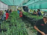 Más de 50 personas participaron de la jornada de puertas abiertas en el Vivero Forestal Mallín Ahogado. Foto: Gobierno de Río Negro