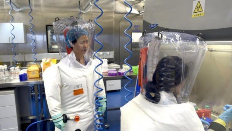 Covid-19: estudio asegura que el SARS-CoV-2 fue creado