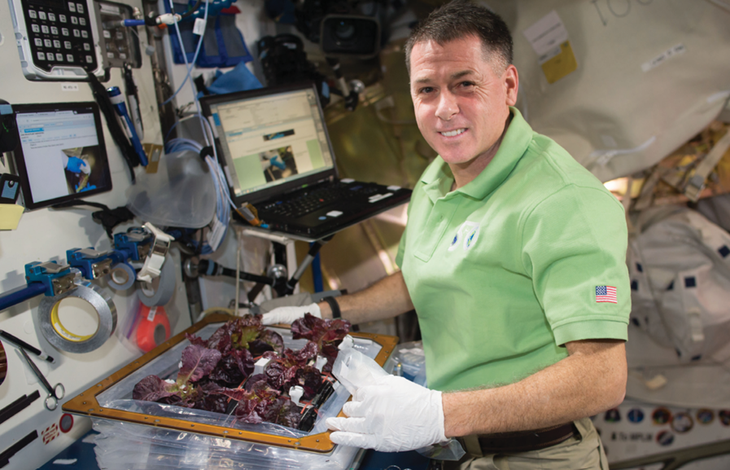 El astronauta Shane Kimbrough monitorea el crecimiento de la lechuga romana. Foto: NASA El astronauta Shane Kimbrough monitorea el crecimiento de la lechuga romana. Foto: NASA