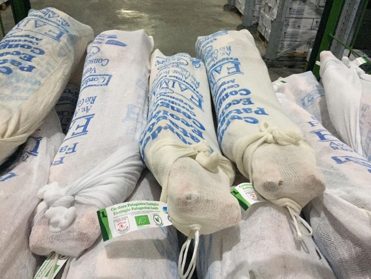 Carne ovina argentina: la Patagonia lidera el auge exportador con nuevos mercados y récords de crecimiento