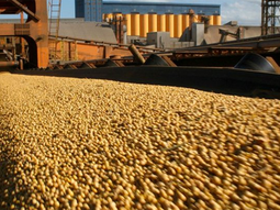 Las exportaciones de productos primarios crecieron 32% en los primeros cinco meses de 2026. Las exportaciones de productos primarios crecieron 32% en los primeros cinco meses de 2026.