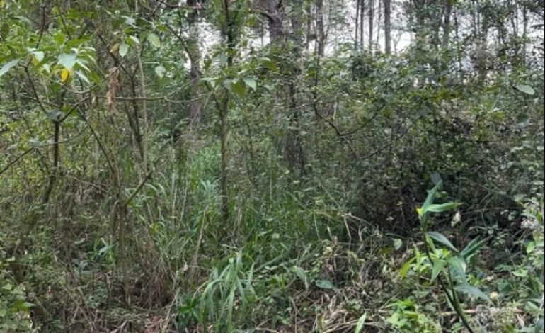 El hallazgo de restos óseos se produjo en una zona de malezas