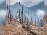 El fuego ya destruyó un bosque de lengas añosas en el Parque Nacional Los Alerces.