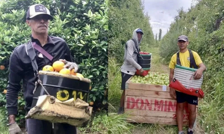 Confirmaron la identidad del hombre encontrado muerto en el río Neuquén