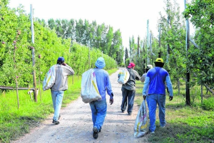 Aún no se cerró la paritaria para raleo. Aún no se cerró la paritaria para raleo.