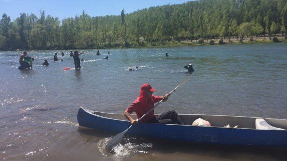 Más basura que el año pasado sacaron del río Limay
