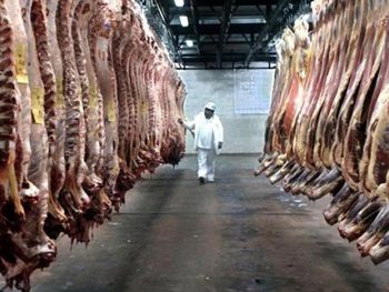 Nueva medida, ahora las retenciones cero son para las carnes.