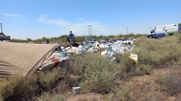 Volcó un camión con cervezas y automovilistas saquearon la carga