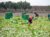 La nueva normativa establece cambios en la entrega del certificado laboral y obliga a las empresas a reorganizar sus procesos internos.