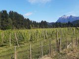 Reconocen el potencial de la Patagonia. Foto: @CasaYague