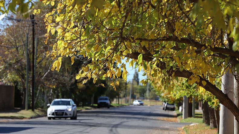 El finde largo viene con mucha amplitud térmica, según el pronóstico de AIC. | LM Neuquen El finde largo viene con mucha amplitud térmica, según el pronóstico de AIC.
