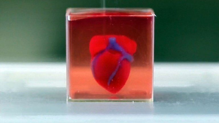 Imprimieron un corazón con tejidos y vasos en 3D
