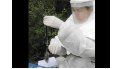 seis sospechas y un caso de hantavirus desde 2012