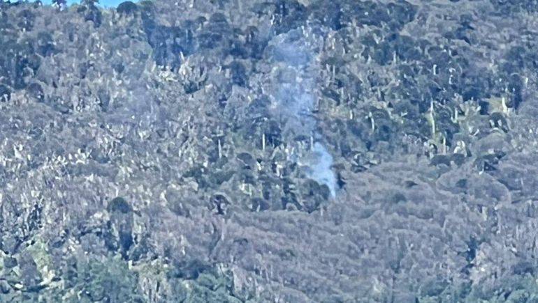 Otra vez fuego: detectaron un nuevo foco de incendio en el Parque Nacional Lanín