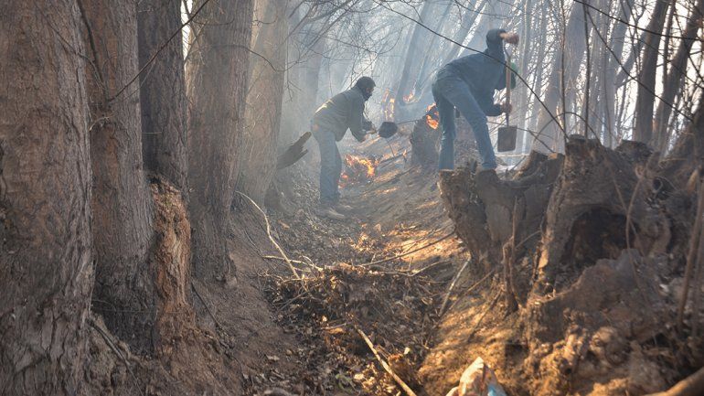 El incendio en chacras de Plottier alcanzó el Oeste de Neuquén.