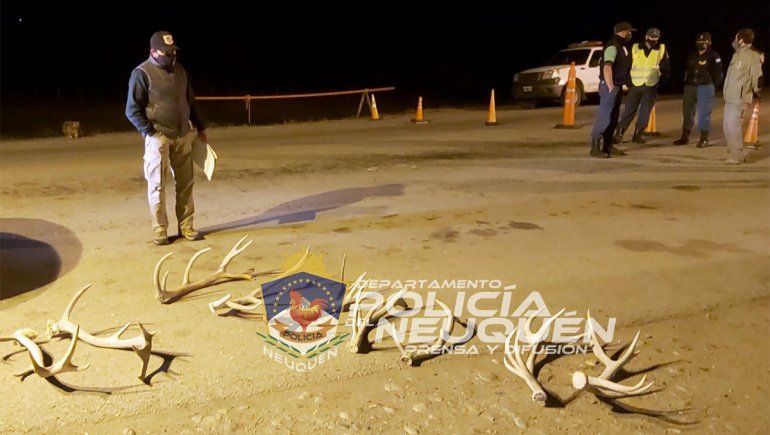 Tenía pedido de captura y cayó con nueve astas de ciervo