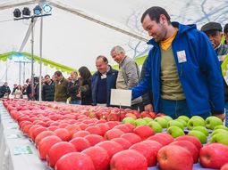Se espera una alta concurrecia para este nueva edición de PomaExpo. Se espera una alta concurrecia para este nueva edición de PomaExpo.