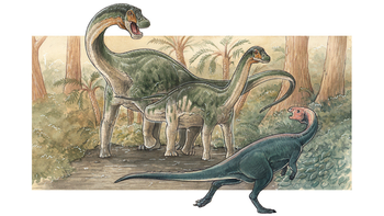 El CONICET descubrió una nueva especie de dinosaurio en Neuquén.