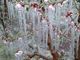 Las temperaturas llegaron esta madrugada a estar por debajo de los 0 grados en varios puntos del Valle.