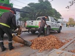 Desde el municipio pusieron en marcha el plan de limpieza en distintos barrios de la ciudad. Foto: Gentileza.