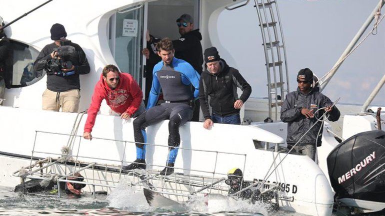 El último reto de Phelps: competir contra un temible tiburón blanco