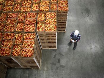 Menos stocks de manzana en todo el viejo continente. Un dato positivo para la oferta exportable del hemisferio sur.