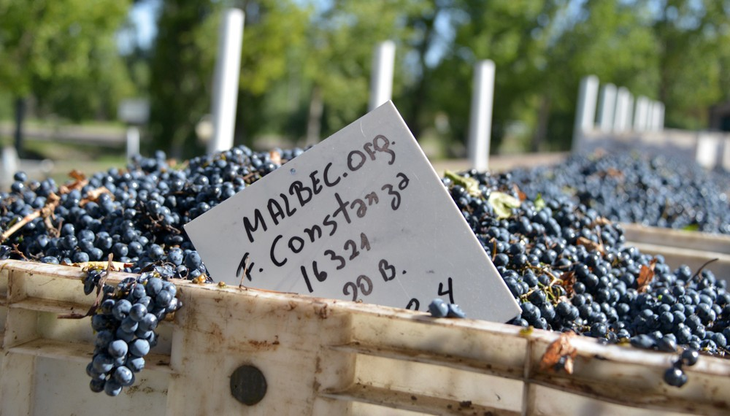 En los últimos 30 años el Niño y la Niña han marcado a fuego algunas añadas. En los últimos 30 años el Niño y la Niña han marcado a fuego algunas añadas.