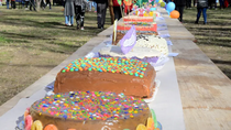 neuquen realizara una torta de 100 metros por el dia de las infancias