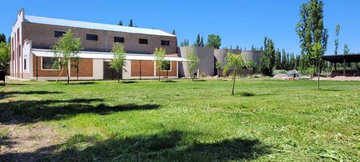 El emprendimiento familiar que desarrolla Banacloy en Río Negro. El emprendimiento familiar que desarrolla Banacloy en Río Negro.