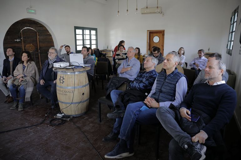 Representantes y propietarios de bodegas, enólogos y funcionarios participaron del balance que hizo WofA en la Patagonia Norte.