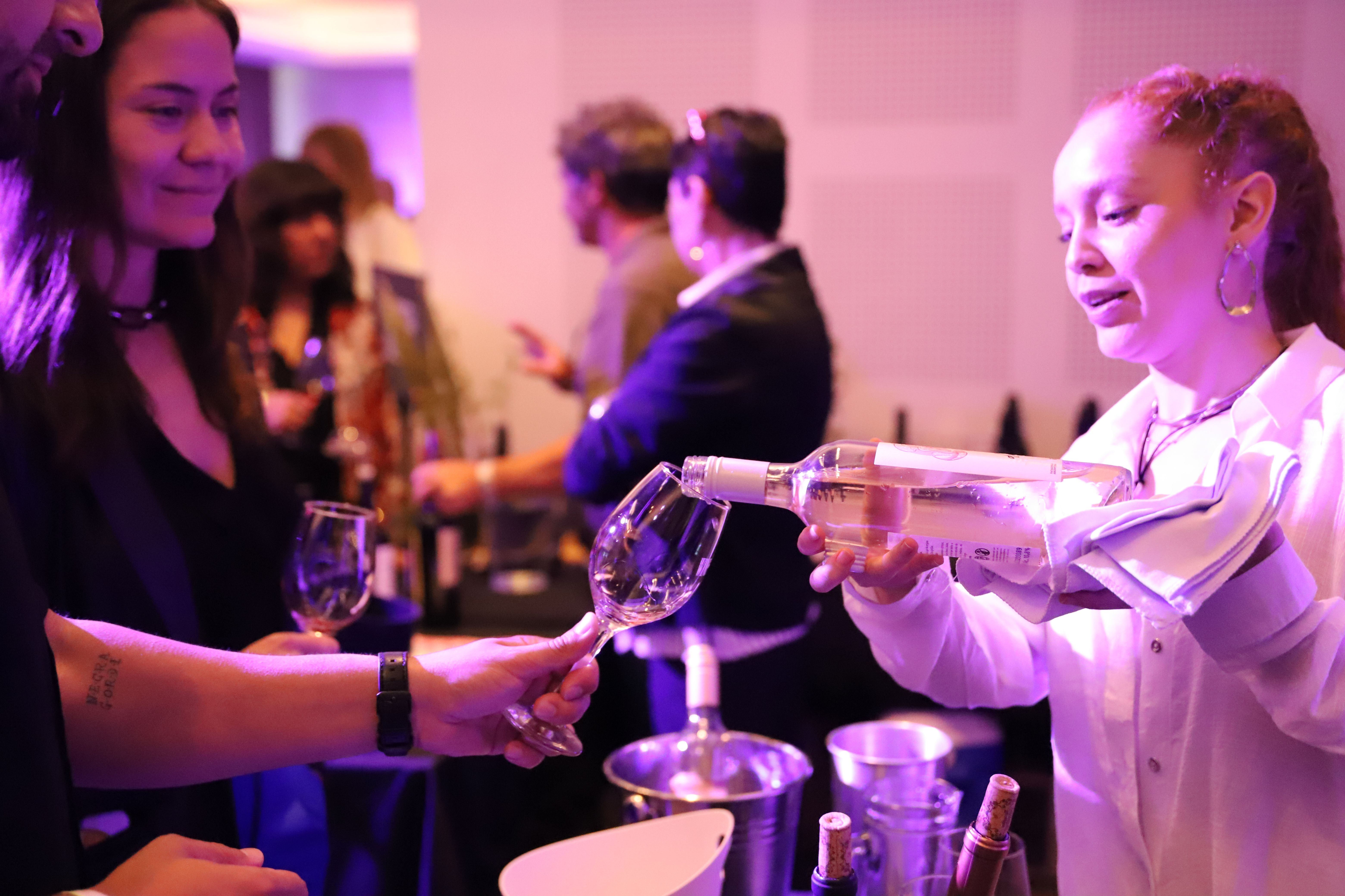 Vinos de la Patagonia: ¿Por qué cambiaron los destinos de sus exportaciones?