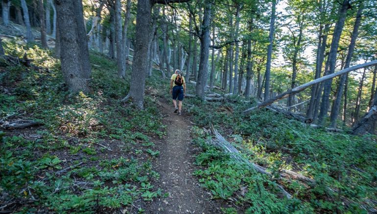 A los túneles de hielo sólo se puede acceder con guías, en excursiones que incluyen un treking de una hora de dificultad media, luego de viajar en 4x4. A los túneles de hielo sólo se puede acceder con guías, en excursiones que incluyen un treking de una hora de dificultad media, luego de viajar en 4x4.